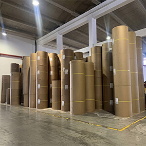 Massive Warehouse Facility for Optimal Paper Moisture Climate-controlled warehouse storing specialty paper jumbo rolls