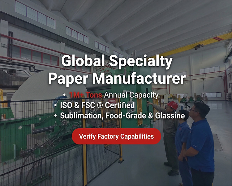 Modernized Papermaking Production Line
