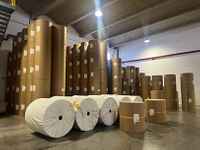 Wholesale Specialty Paper Rolls in Factory Warehouse