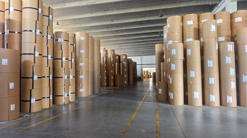Warehouse storing FDA-compliant food grade paper and greaseproof paper jumbo rolls at Zhefeng base